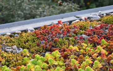 the cost of Birkacre green roof installation