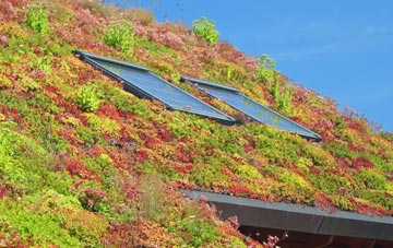 Birkacre living roof systems