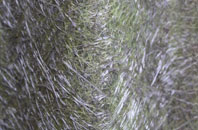 Birkacre fibreglass roof work